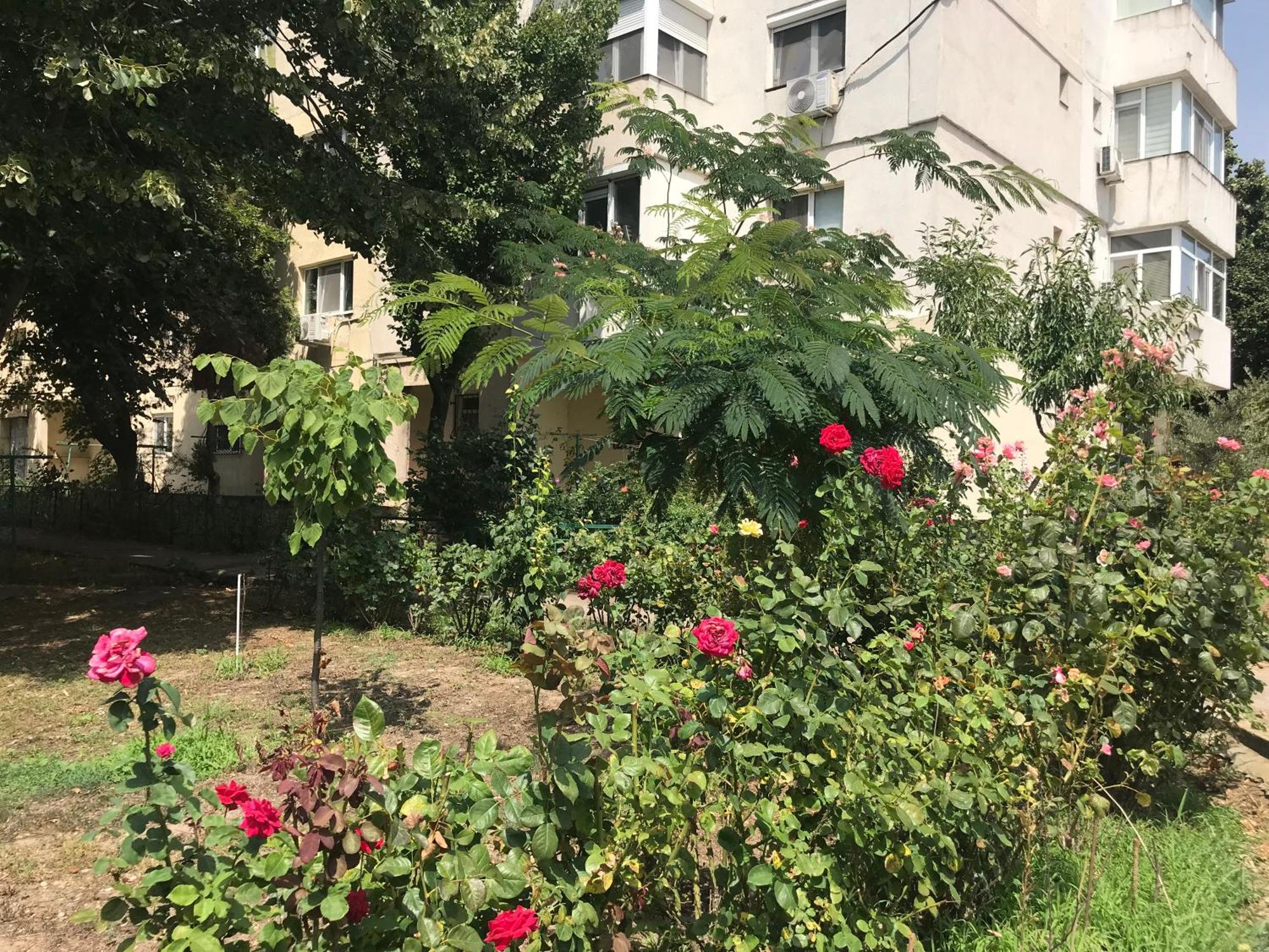 Apartament Langa Plaja Diana Μανγκάλια Εξωτερικό φωτογραφία