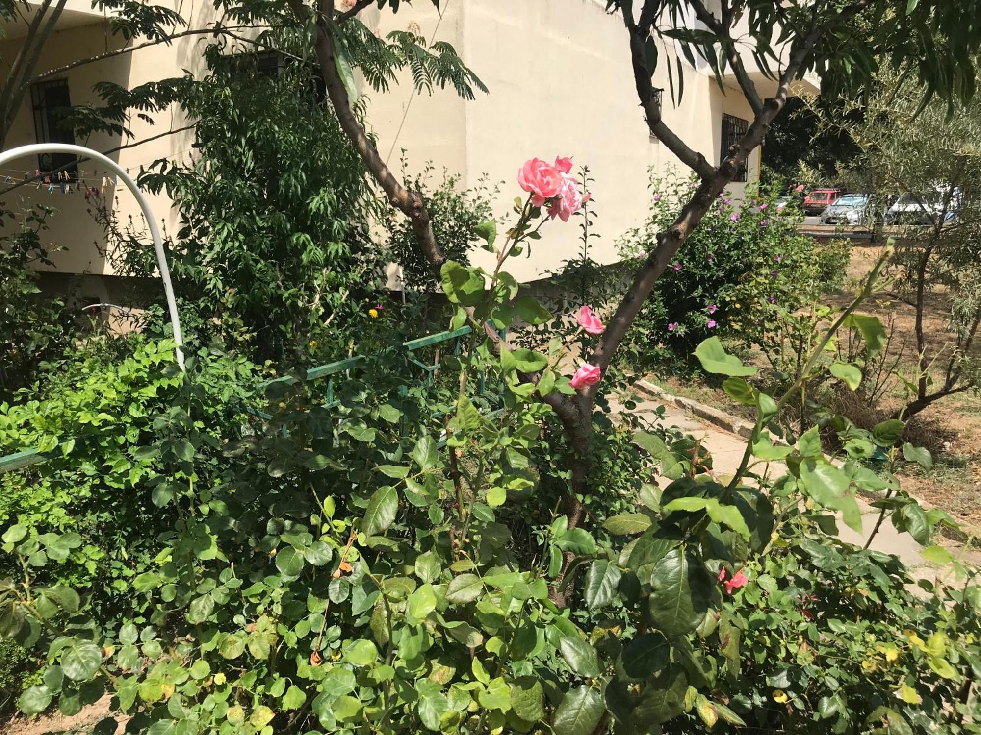 Apartament Langa Plaja Diana Μανγκάλια Εξωτερικό φωτογραφία