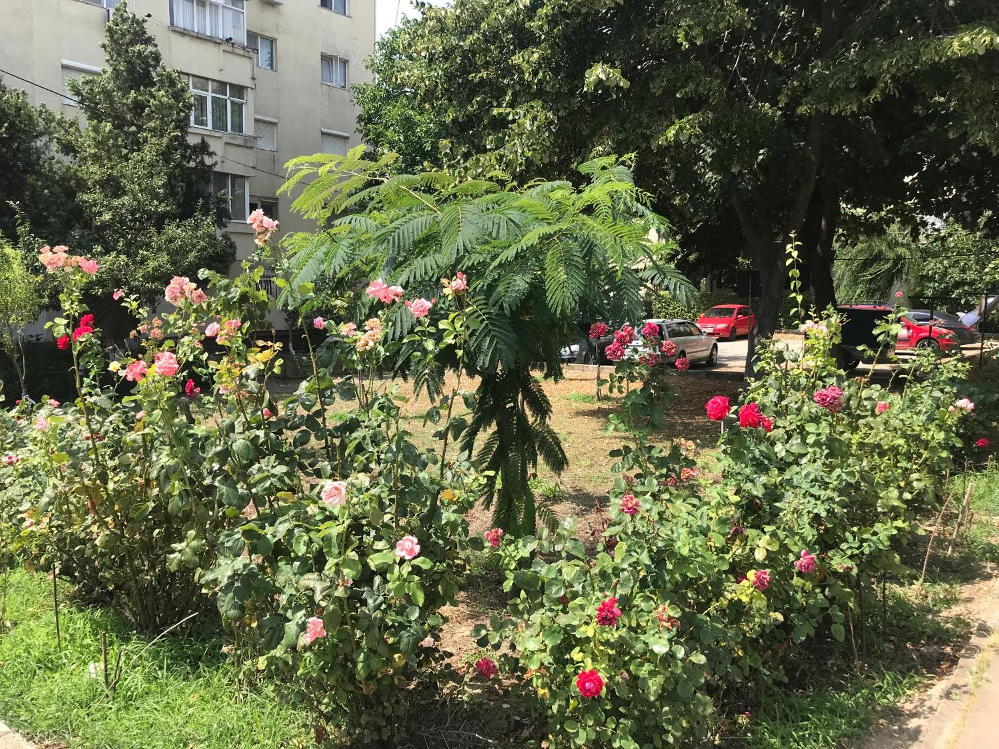 Apartament Langa Plaja Diana Μανγκάλια Εξωτερικό φωτογραφία