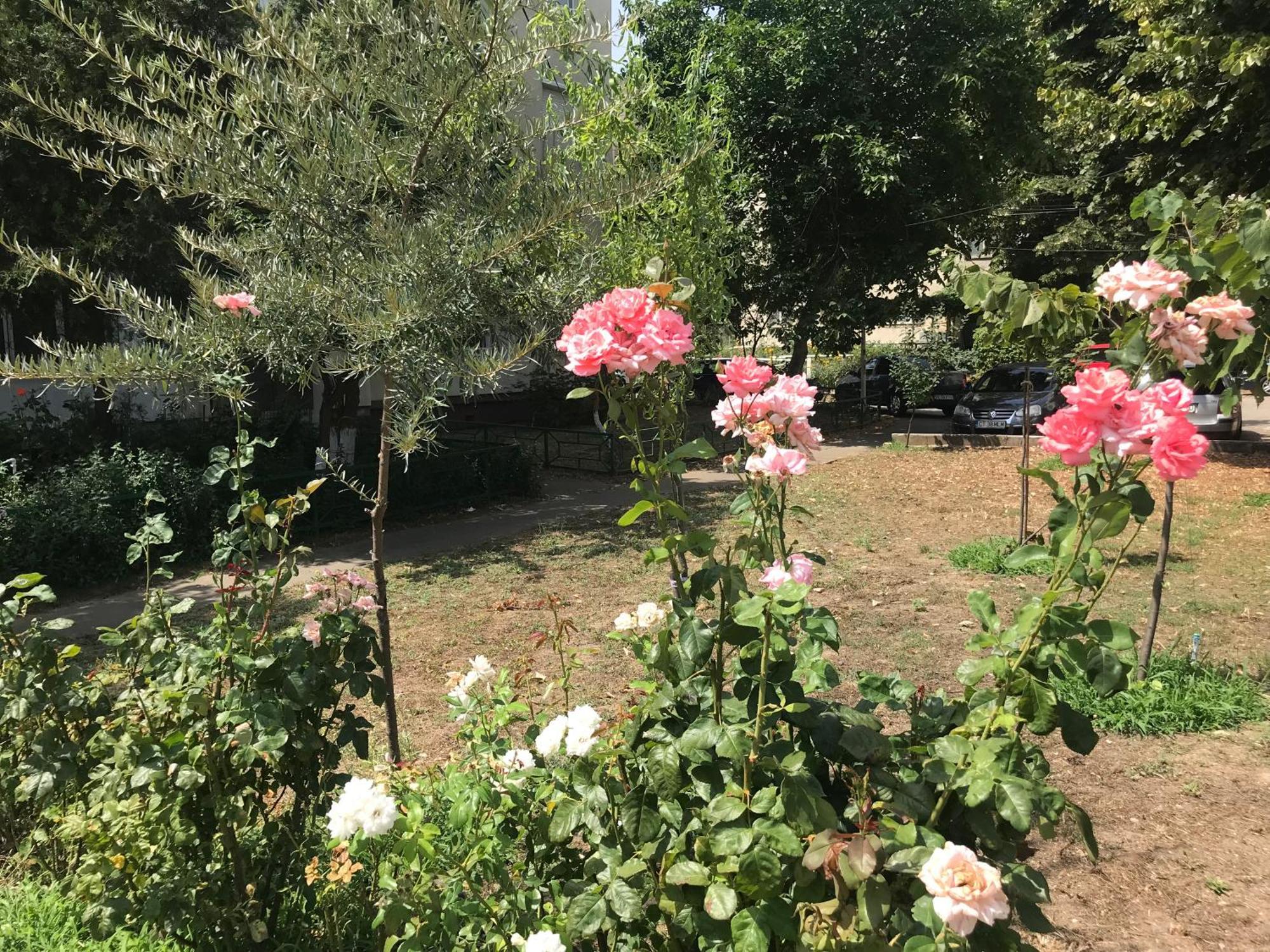 Apartament Langa Plaja Diana Μανγκάλια Εξωτερικό φωτογραφία